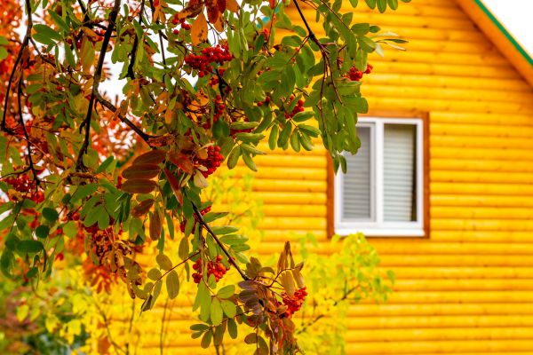 Garden Window Replacement in Canton
